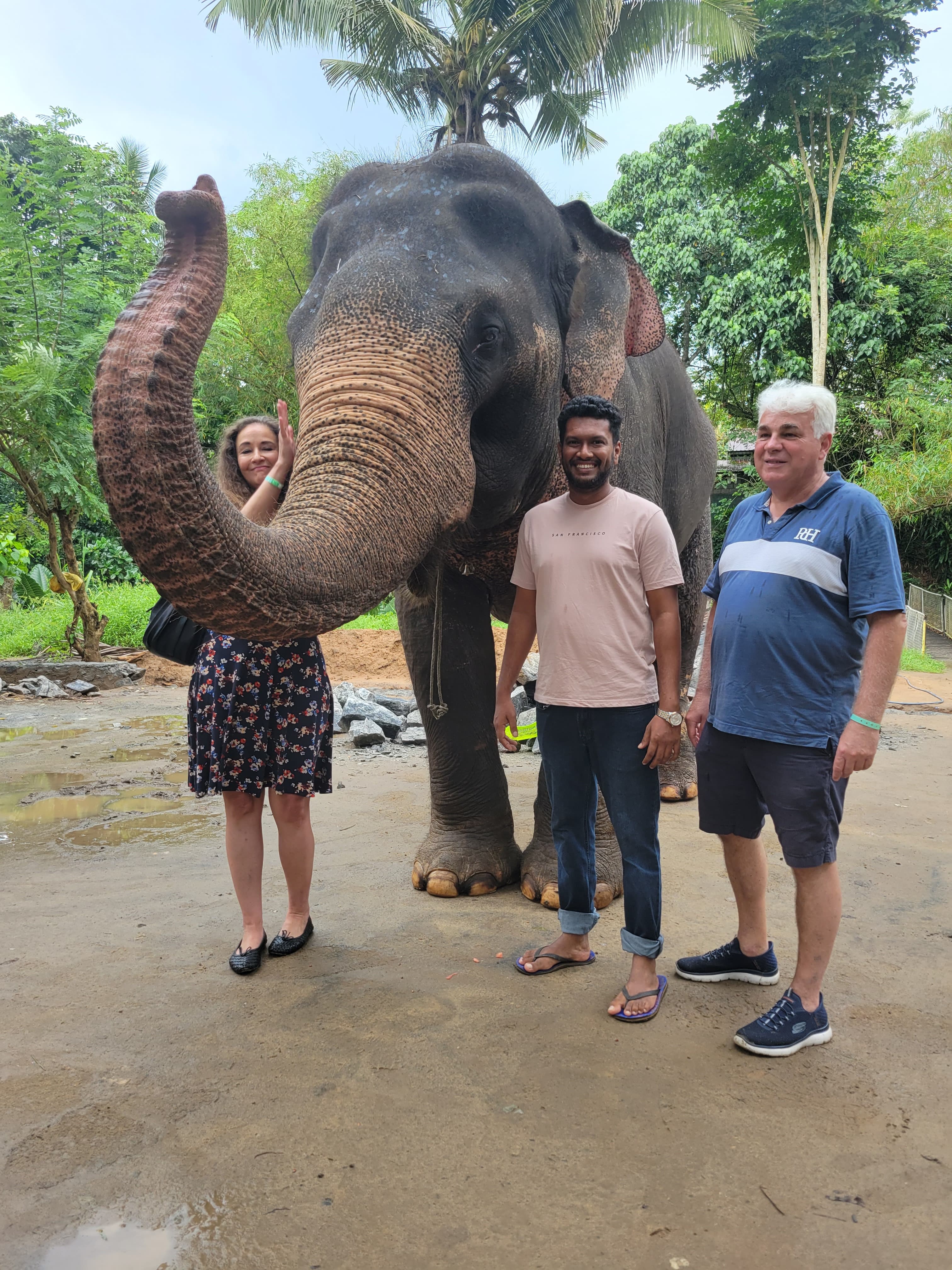 Udawalawe Safari gallery image 3