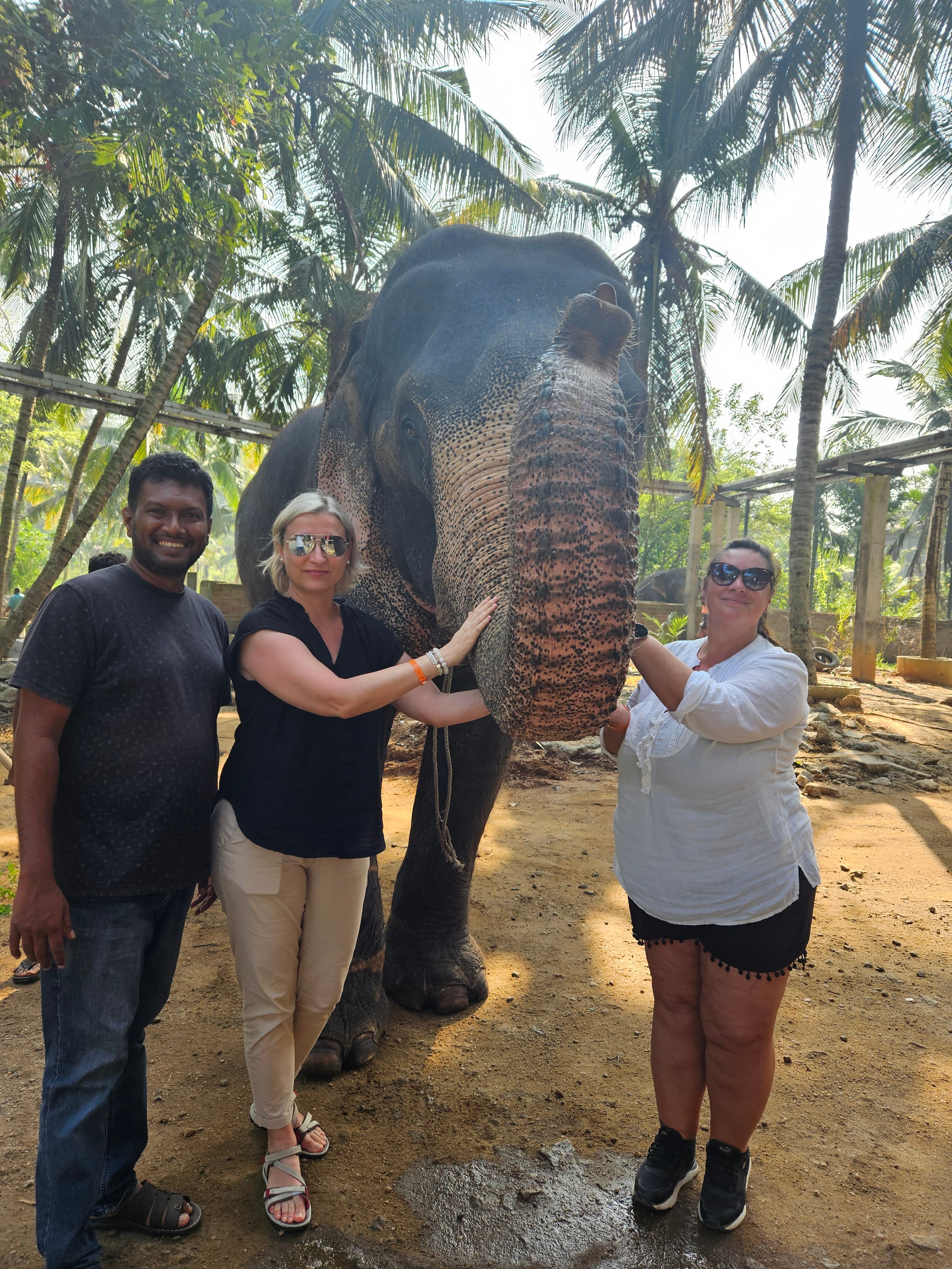 Pinnawala Elephant Orphanage