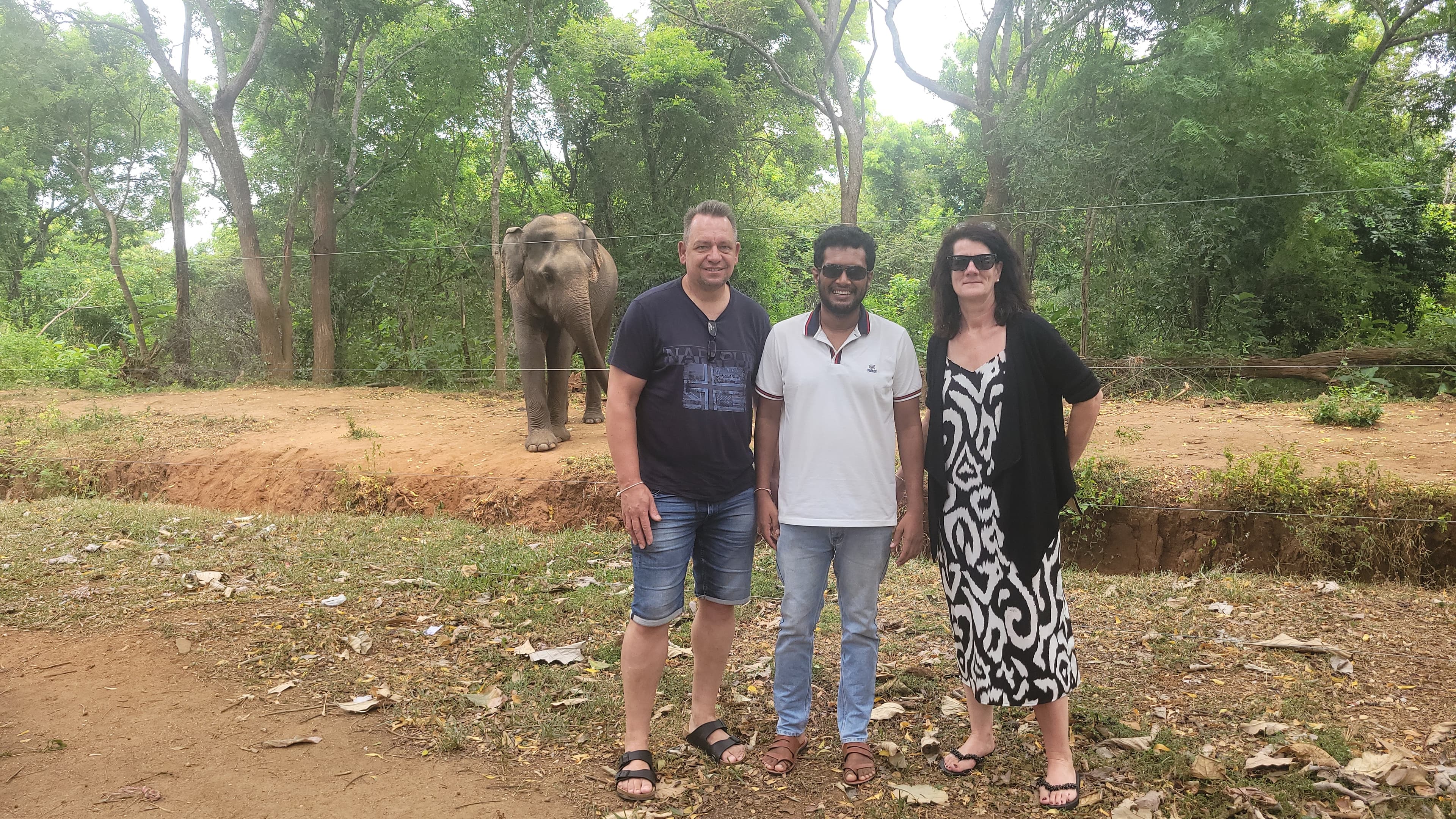Pinnawala Elephant Orphanage gallery image 1
